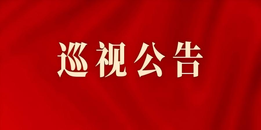 按照省委統(tǒng)一安排，省委第八巡視組對陜西電子信息集團(tuán)有限公司黨委開展巡視